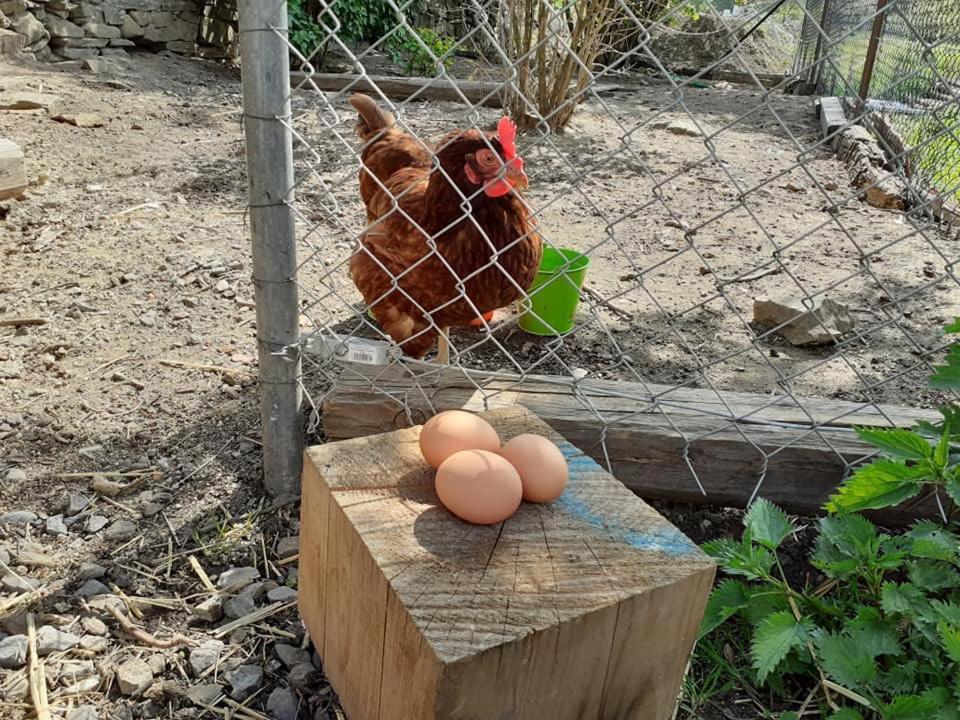 Penzion Mala Farma Nemojany Buitenkant foto